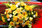 Flowers Download Jigsaw Puzzle