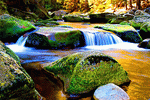 Mountain Stream Download Jigsaw Puzzle