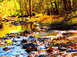 Autumn Creek Download Jigsaw Puzzle