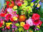 Flowers Download Jigsaw Puzzle