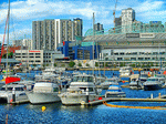 Boats, Australia Download Jigsaw Puzzle