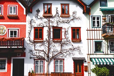 House, Germany Download Jigsaw Puzzle