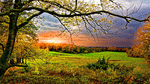 Landscape, Netherlands Download Jigsaw Puzzle