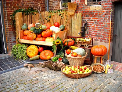 Autumn Harvest Download Jigsaw Puzzle