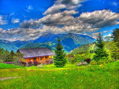 Meadow Download Jigsaw Puzzle