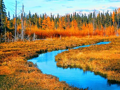 Autumn River Download Jigsaw Puzzle