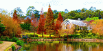 Park Lake Download Jigsaw Puzzle