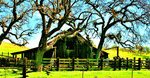 Barn, Illinois Download Jigsaw Puzzle