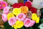 Flowers Download Jigsaw Puzzle