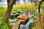 Boats Download Jigsaw Puzzle