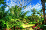 Park, Naples Download Jigsaw Puzzle