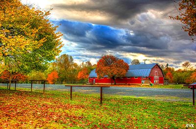 Barn, Canada Download Jigsaw Puzzle