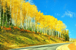 Trees, Utah Download Jigsaw Puzzle