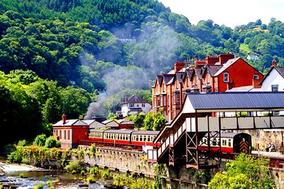 Train, Wales Download Jigsaw Puzzle