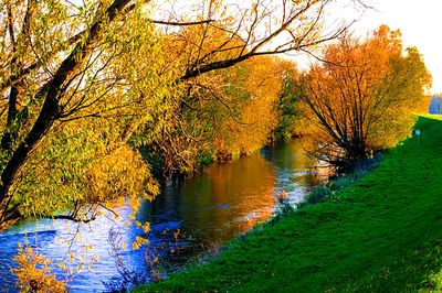 River, Germany Download Jigsaw Puzzle