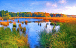 Lake, Netherlands Download Jigsaw Puzzle