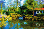 Chinese Garden Download Jigsaw Puzzle