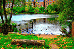 Urban Lake Download Jigsaw Puzzle