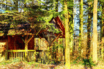 Forest Cabin, Austria Download Jigsaw Puzzle