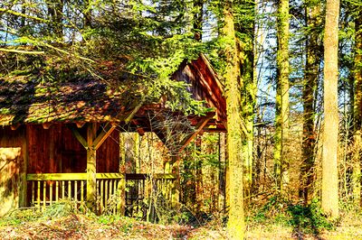 Forest Cabin, Austria Download Jigsaw Puzzle