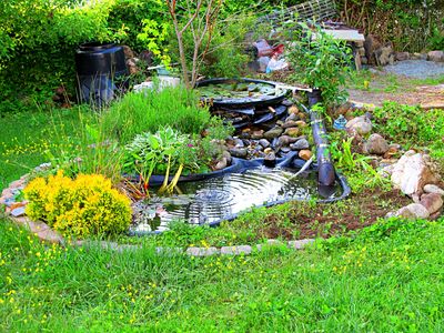 Garden Pond Download Jigsaw Puzzle