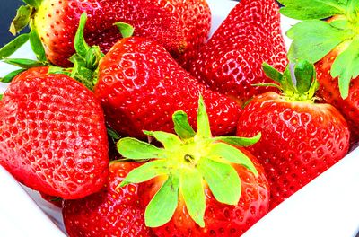 Strawberries Download Jigsaw Puzzle