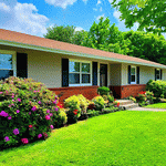 Flowers Download Jigsaw Puzzle