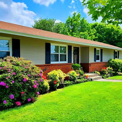 Flowers Download Jigsaw Puzzle