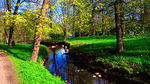 Park Stream Download Jigsaw Puzzle