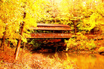 Covered Bridge Download Jigsaw Puzzle