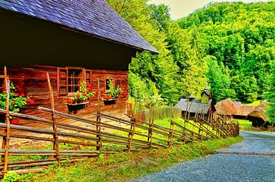 Flowers Download Jigsaw Puzzle