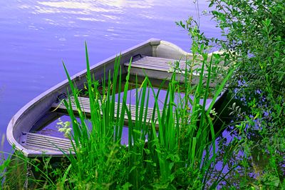 Boat Download Jigsaw Puzzle