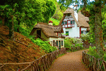 Country Lane, Madeira Download Jigsaw Puzzle