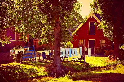 Laundry Day Download Jigsaw Puzzle