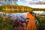 Wooden Walkway Download Jigsaw Puzzle