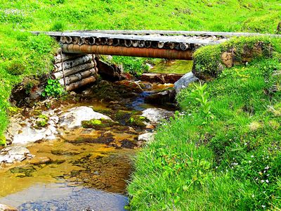 Wooden Footbridge Download Jigsaw Puzzle