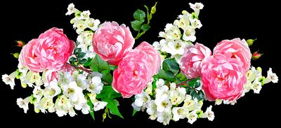 Flowers Download Jigsaw Puzzle