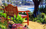 Beachside Bench Download Jigsaw Puzzle
