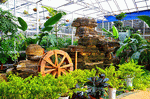Greenhouse Download Jigsaw Puzzle