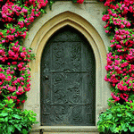 Flowers Download Jigsaw Puzzle