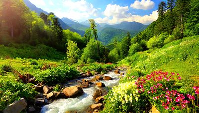 Flowers Download Jigsaw Puzzle