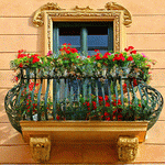 Flowers Download Jigsaw Puzzle