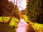 River Download Jigsaw Puzzle