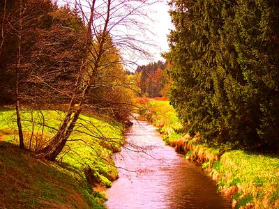 River Download Jigsaw Puzzle