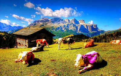 Cattle Download Jigsaw Puzzle