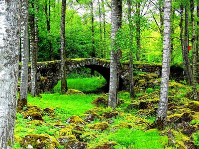 Stone Bridge Download Jigsaw Puzzle