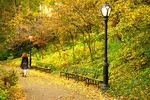 Park Walkway Download Jigsaw Puzzle