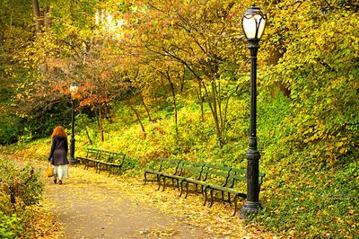 Park Walkway Download Jigsaw Puzzle