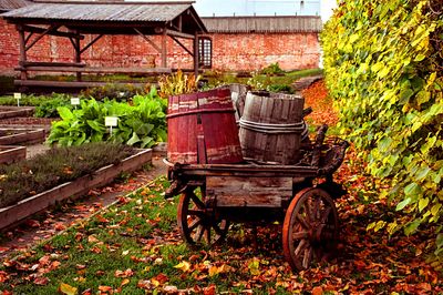 Garden Wagon Download Jigsaw Puzzle