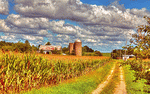 Farm Road Download Jigsaw Puzzle